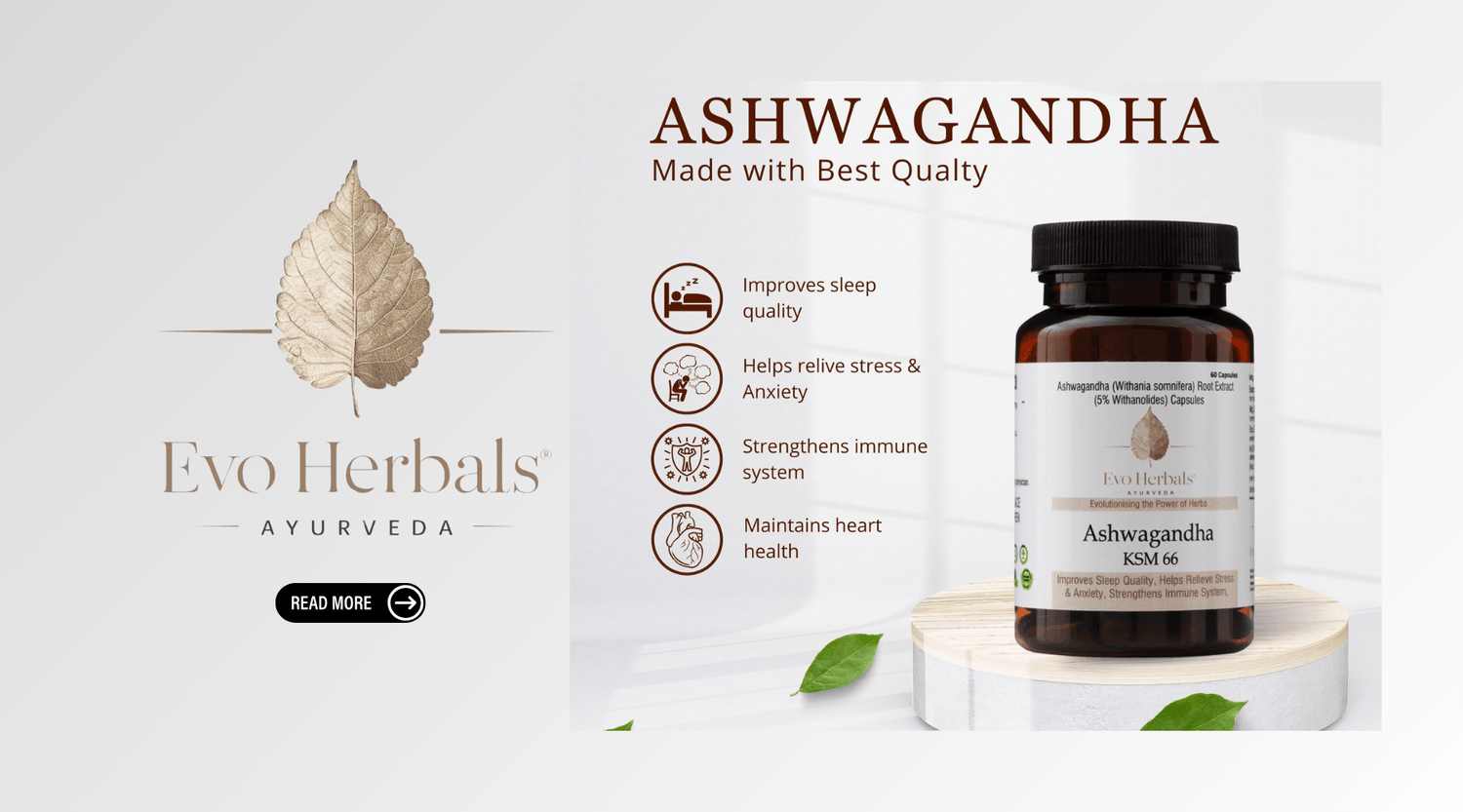 Ashwagandha Benefits 