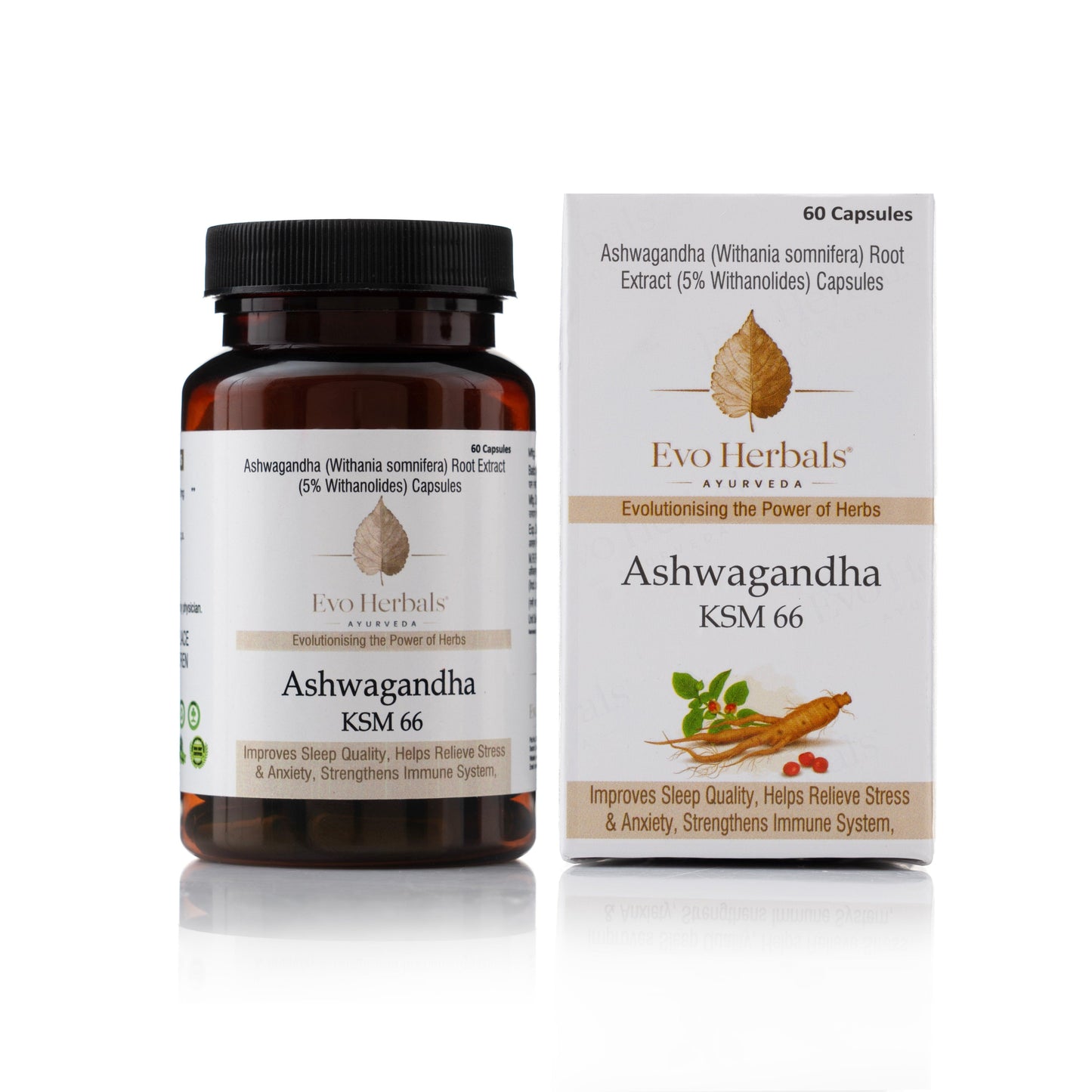 Ashwagandha KSM 66 500 MG