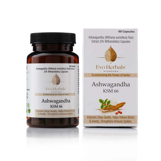 Ashwagandha KSM 66 500 MG